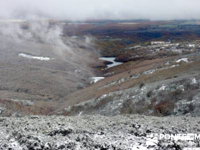 Hayedo de Pedrosa - Parque Natural Sierra Norte de Guadalajara - Hayedo de Tejera Negra